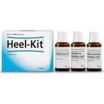 Heel-Kit 3 Frascos Gotas x 30 ml Solución Oral 