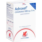Adroxef 500 mg/5 ml x 100 ml Suspension Oral